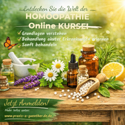 Bild 1 kleiner